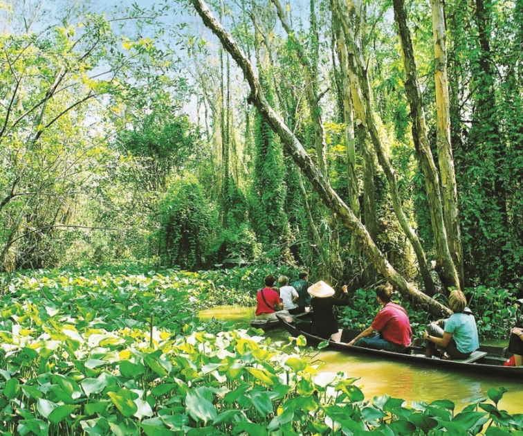 Tour Đồng Tháp 1 ngày