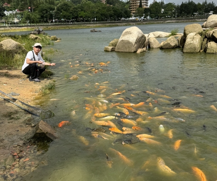 Chương Trình Tour Miền Tây 4 ngày 3 đêm