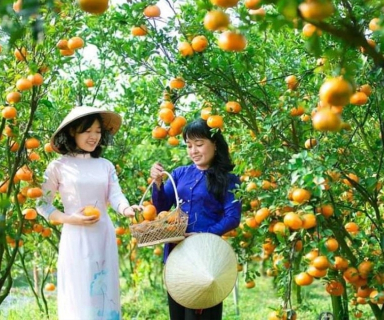 Tour Làng hoa Sa Đéc - Đồng Tháp 1 ngày